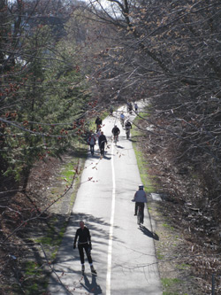 people on the minuteman trail in Arlington, MA